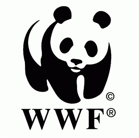 wwf founded|who owns wwf.